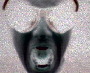 h-goggles5a.jpg